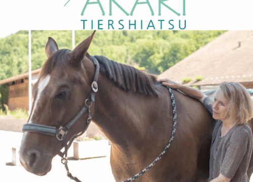 Aussteller-Akari 500 x 500 px