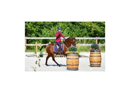 Julia Thut und Saïd an der Working Equitation Europameisterschaft 2024. Foto von Brigitte Graffenberger