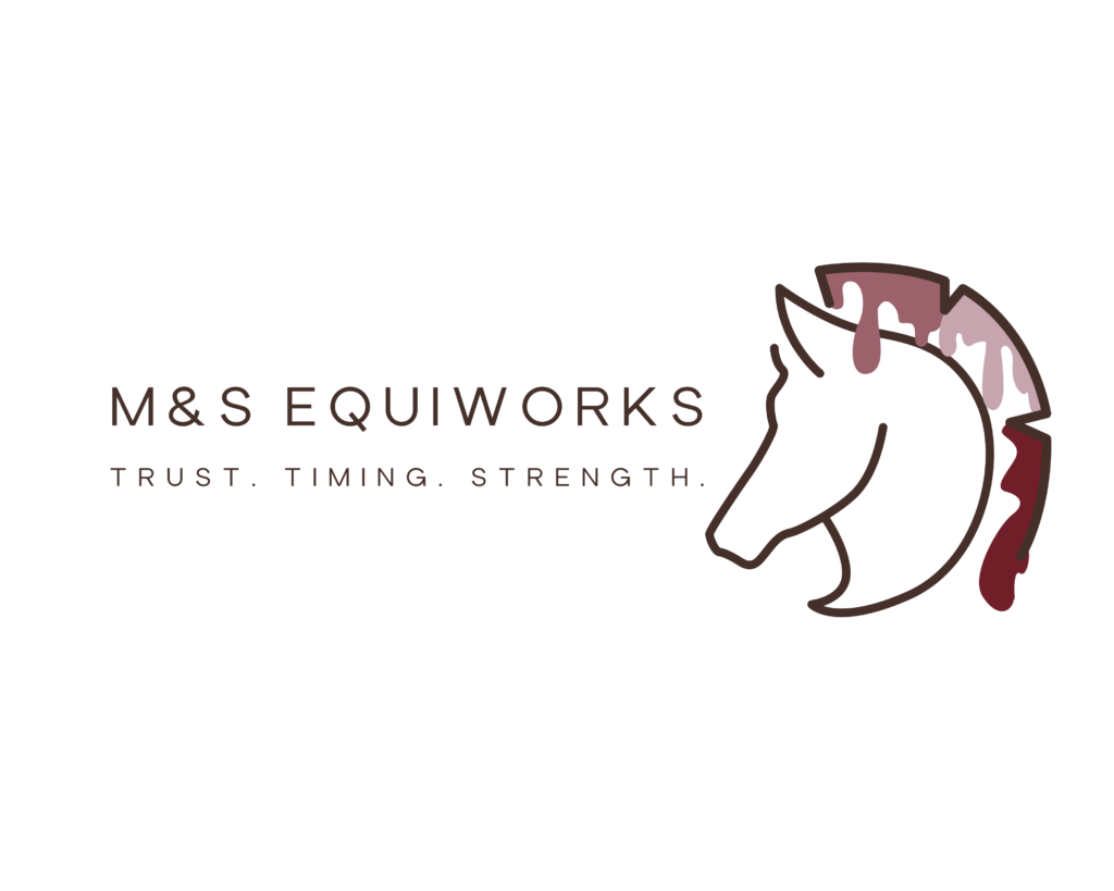 M&Sequiworks