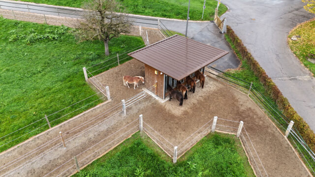 Drohnenaufnahme_PonyParadise