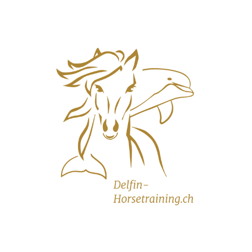 Delfin-Horsetraining