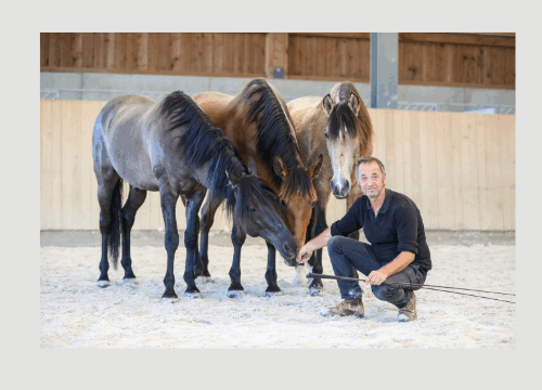 Aussteller- Nick Muntwyler 500 x 500 px