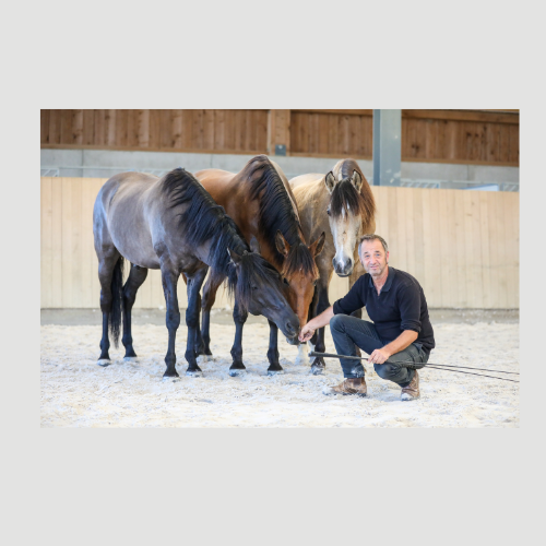 Aussteller- Nick Muntwyler 500 x 500 px