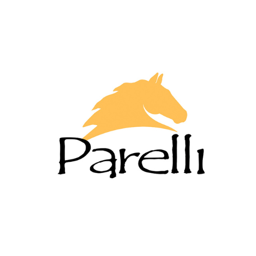 Parelli Team Schweiz