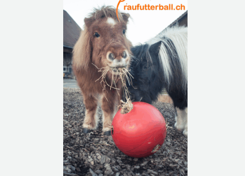 Aussteller- Raufutterbälle_neu 500 x 500 px