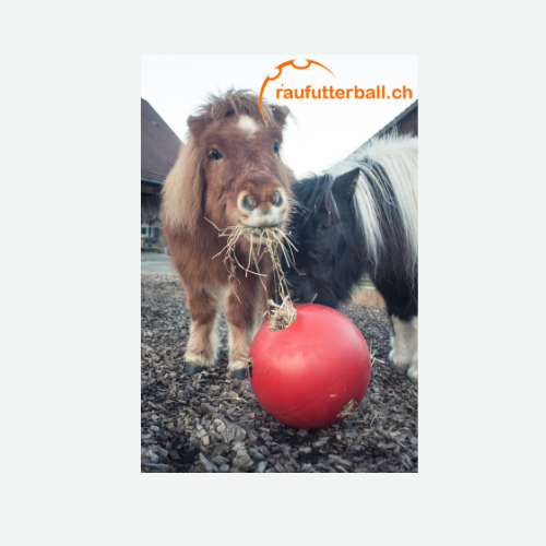 Raufutterbälle