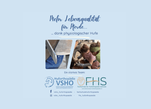 Aussteller- VSHO 500 x 500 px