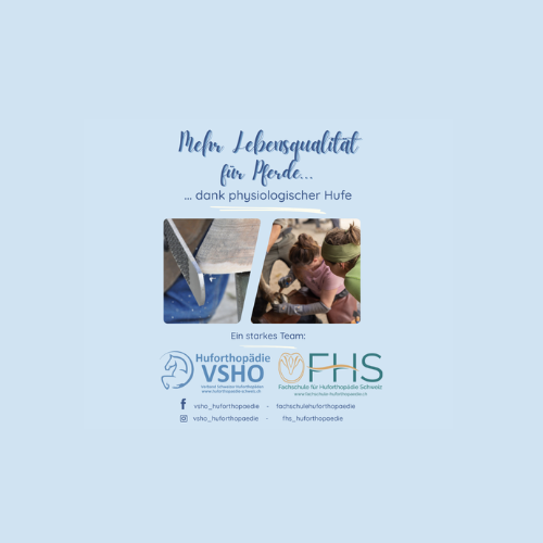 Aussteller- VSHO 500 x 500 px