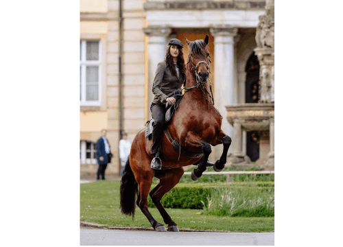 Aussteller- tanja-equestre 500 x 500 px