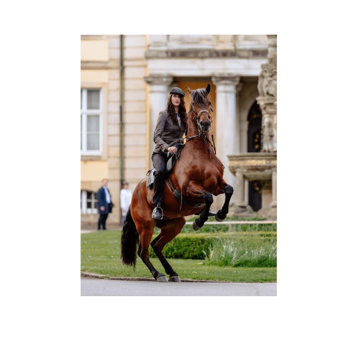 Aussteller- tanja-equestre 500 x 500 px