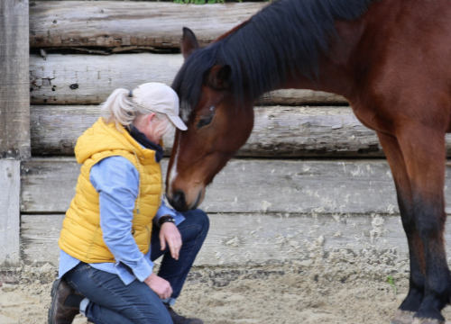 AusstellerLogo Su Spiess_zusatz