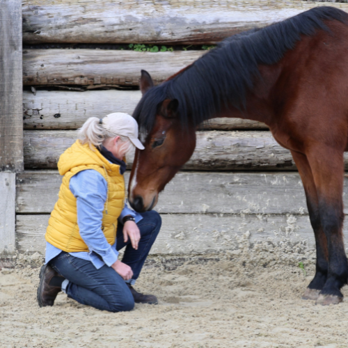 AusstellerLogo Su Spiess_zusatz